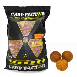 Boilies Indian Curry 5 kg